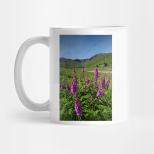 The Coniston Fells Mug